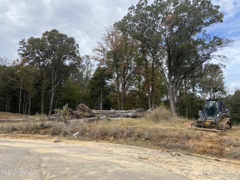 4491 Jenny Ln, Hernando, MS 38632 photo 2