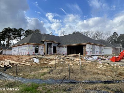 601 Silver Cv, Pearl, MS 39208 photo 1