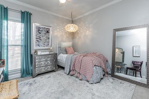 217 Travis Trl, Madison, MS 39110 photo 23