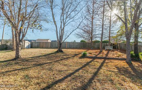 217 Travis Trl, Madison, MS 39110 photo 4