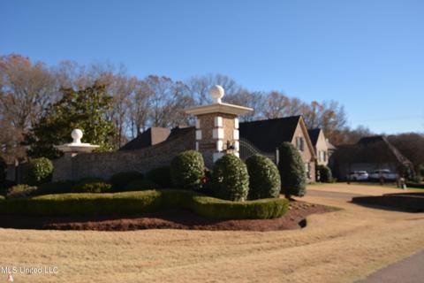 1624 Imboden Cv, Nesbit, MS 38651 photo 38