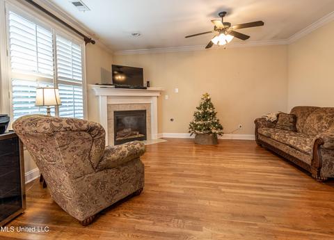 1624 Imboden Cv, Nesbit, MS 38651 photo 15