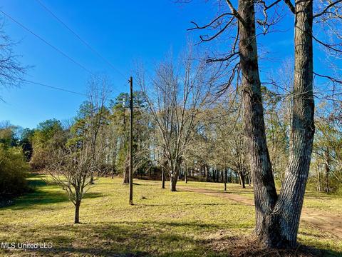 243 Shaw Rd, Conehatta, MS 39057 photo 6
