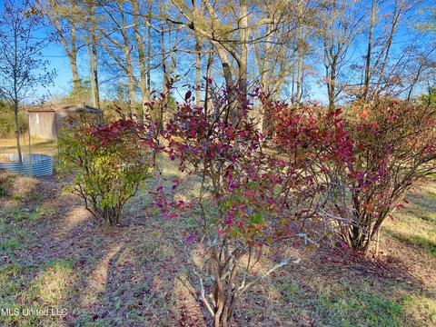 243 Shaw Rd, Conehatta, MS 39057 photo 34