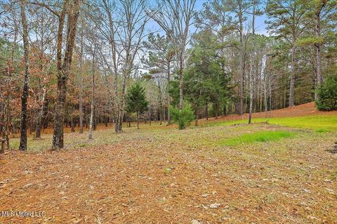5929 Tank Rd, Terry, MS 39170 photo 57