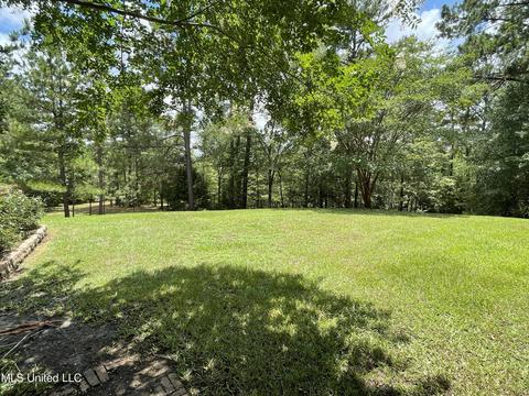 5929 Tank Rd, Terry, MS 39170 photo 55