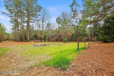 5929 Tank Rd, Terry, MS 39170 photo 60