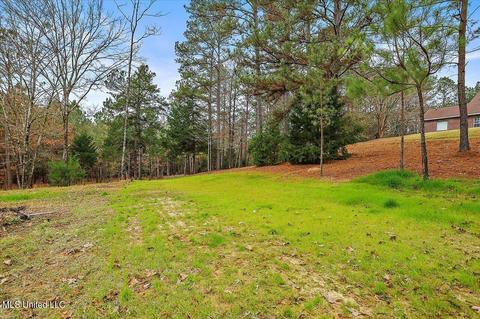 5929 Tank Rd, Terry, MS 39170 photo 56