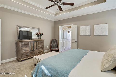 211 Falls Xing, Madison, MS 39110 photo 22