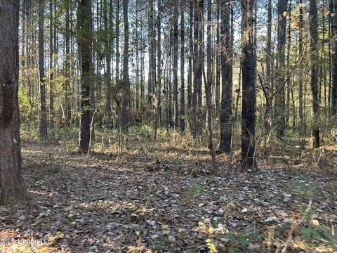 Highway 13, Morton, MS 39117 photo 14