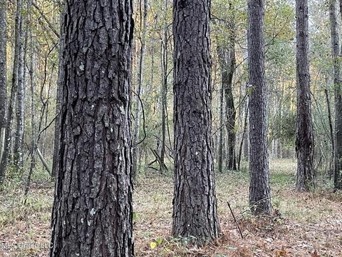 Highway 13, Morton, MS 39117 photo 20