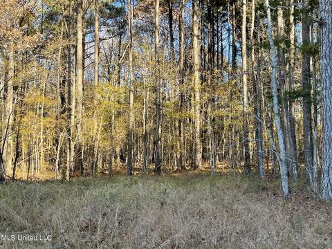 Highway 13, Morton, MS 39117 photo 7