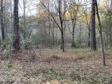 Highway 13, Morton, MS 39117 photo 12
