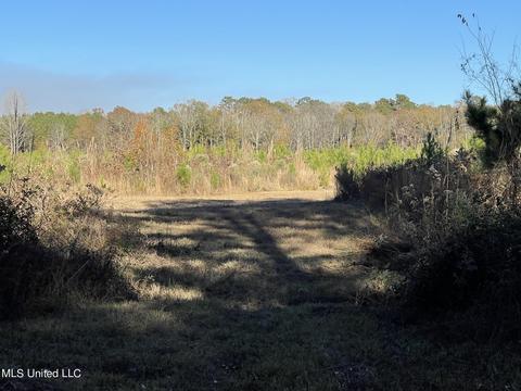 Highway 13, Morton, MS 39117 photo 4