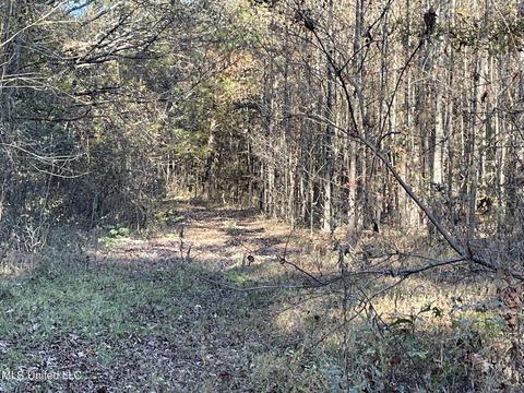 Highway 13, Morton, MS 39117 photo 5