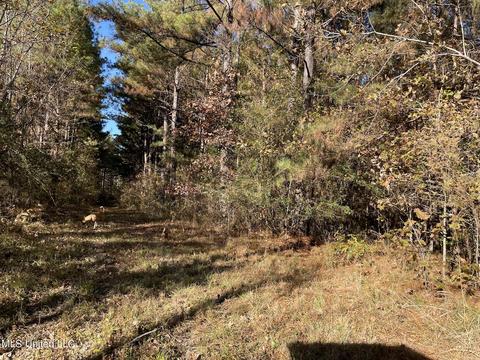 Highway 13, Morton, MS 39117 photo 2