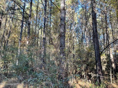 Highway 13, Morton, MS 39117 photo 3