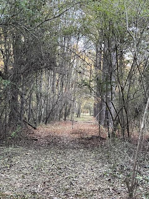 Highway 13, Morton, MS 39117 photo 17