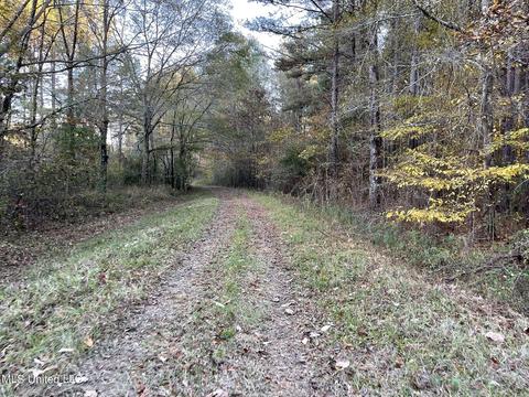 Highway 13, Morton, MS 39117 photo 13