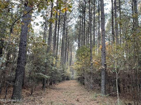 Highway 13, Morton, MS 39117 photo 1