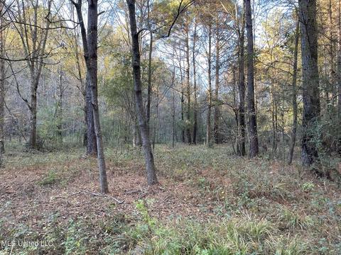 Highway 13, Morton, MS 39117 photo 11