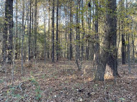 Highway 13, Morton, MS 39117 photo 9