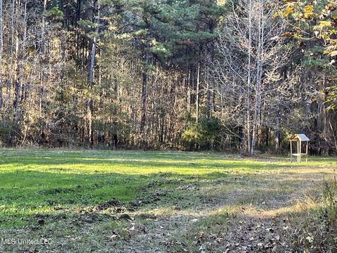Highway 13, Morton, MS 39117 photo 10