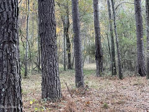 Highway 13, Morton, MS 39117 photo 19
