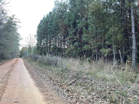 Highway 13, Morton, MS 39117 photo 16