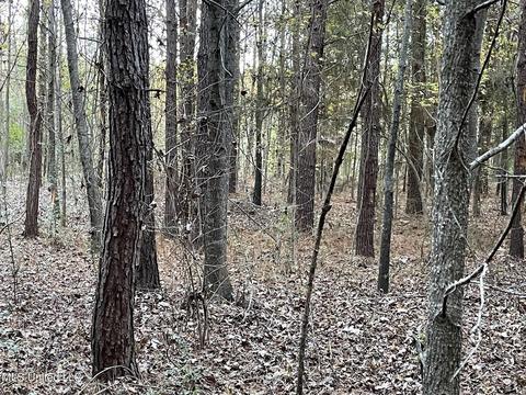 Highway 13, Morton, MS 39117 photo 18