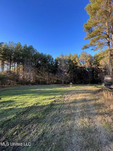Highway 13, Morton, MS 39117 photo 24