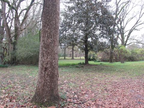 145 W Main St, Florence, MS 39073 photo 47