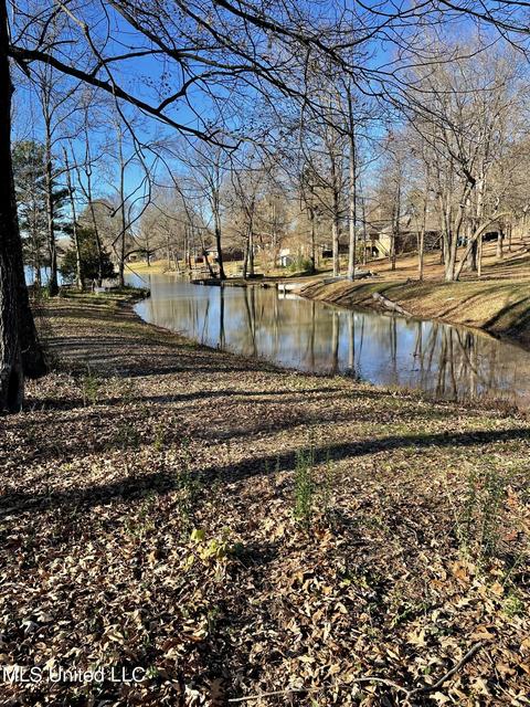 564 White Goose Cv, Hernando, MS 38632 photo 1