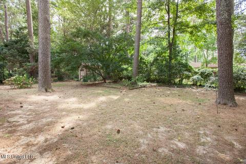 5461 Pine Lane Dr, Jackson, MS 39211 photo 33