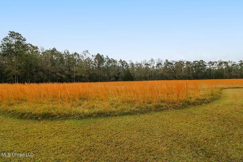 3150 Fig Farm Rd, Lucedale, MS 39452 photo 51