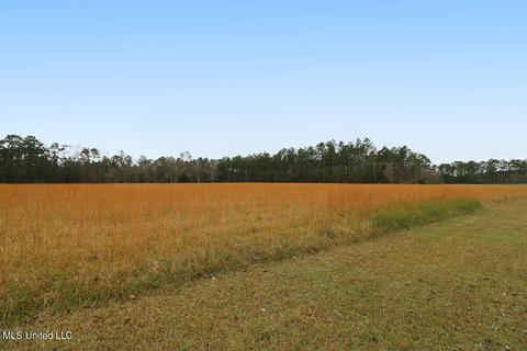 3150 Fig Farm Rd, Lucedale, MS 39452 photo 49