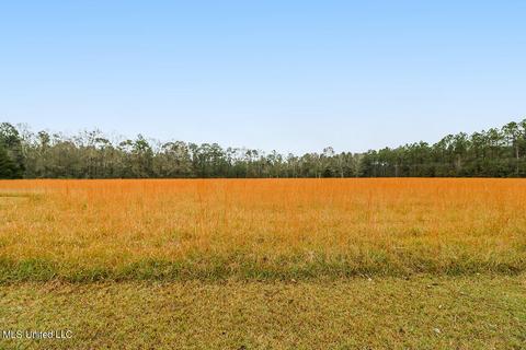 3150 Fig Farm Rd, Lucedale, MS 39452 photo 48