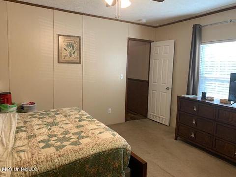 821 Marc Walling St, Brandon, MS 39042 photo 14