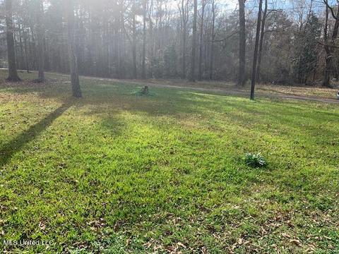 821 Marc Walling St, Brandon, MS 39042 photo 29
