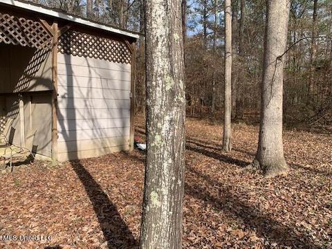 821 Marc Walling St, Brandon, MS 39042 photo 22