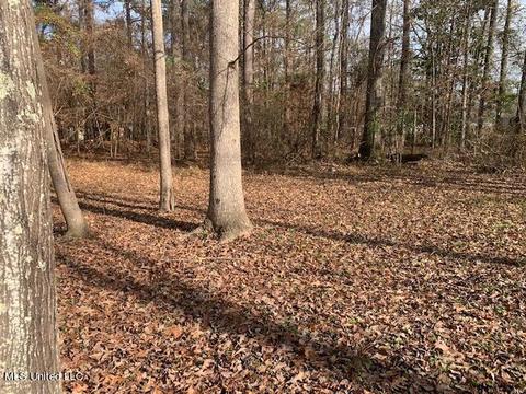 821 Marc Walling St, Brandon, MS 39042 photo 31
