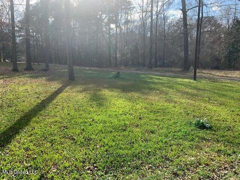 821 Marc Walling St, Brandon, MS 39042 photo 30