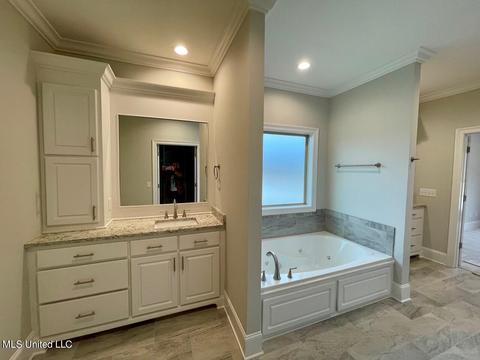 205 Ashbury Cv, Canton, MS 39046 photo 13