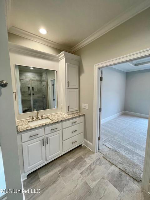 205 Ashbury Cv, Canton, MS 39046 photo 15