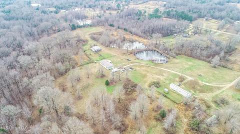 876 Mays Rd, Coldwater, MS 38618 photo 21