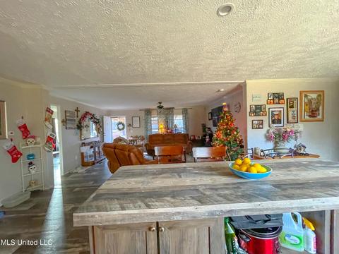 876 Mays Rd, Coldwater, MS 38618 photo 5
