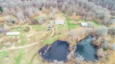 876 Mays Rd, Coldwater, MS 38618 photo 1