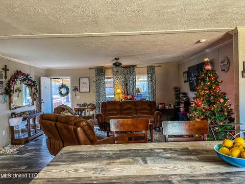 876 Mays Rd, Coldwater, MS 38618 photo 6