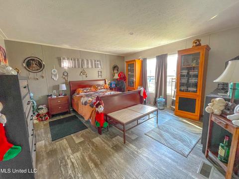 876 Mays Rd, Coldwater, MS 38618 photo 13