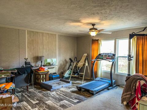 876 Mays Rd, Coldwater, MS 38618 photo 12